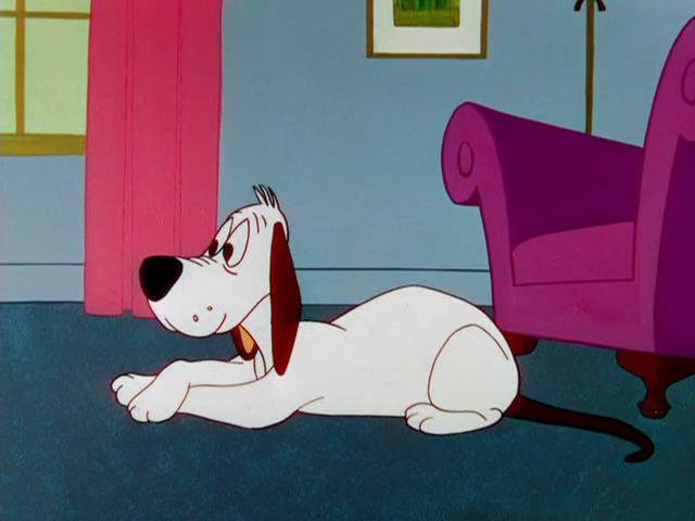 A Mutt in a Rut - Looney Tunes Cartoon