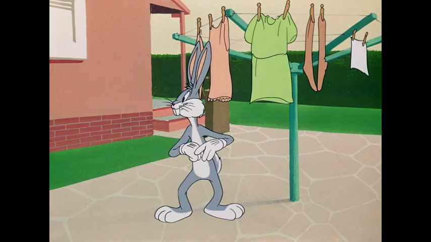 Hare Splitter Merrie Melodies Cartoon 6858