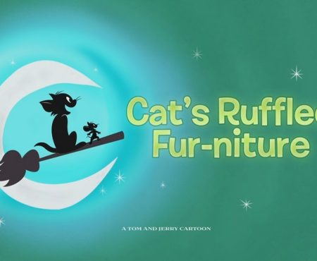 Cat’s Ruffled Fur-niture