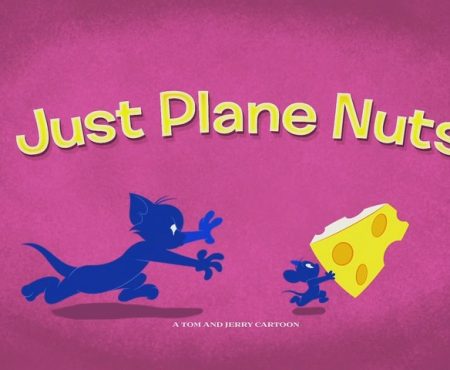 Just Plane Nuts