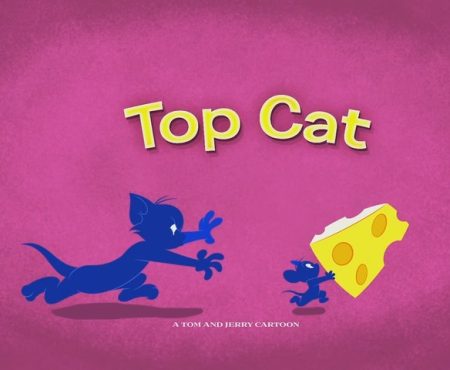 Top Cat