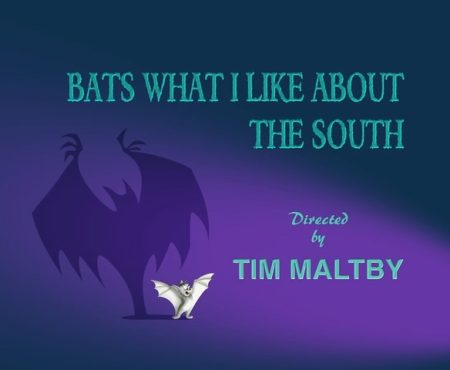 Bats What I Like About the South