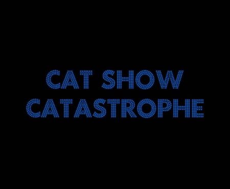 Cat Show Catastrophe