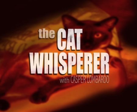 The Cat Whisperer with Casper Lombardo